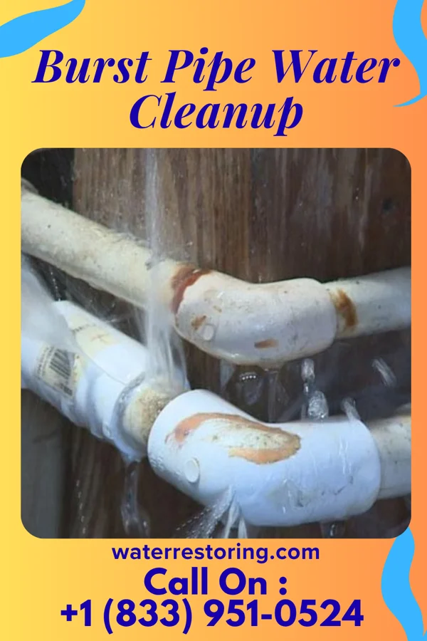 Burst Pipe Water Cleanup in Farmington, MN